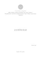 prikaz prve stranice dokumenta Politički i sigurnosni aspekti rata u Bosni i Hercegovini 1992.-1995.